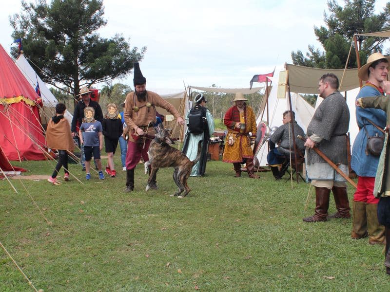 Rusland Encampment, Abbey Medieval Festival 2026.  Photography by Mel Lane