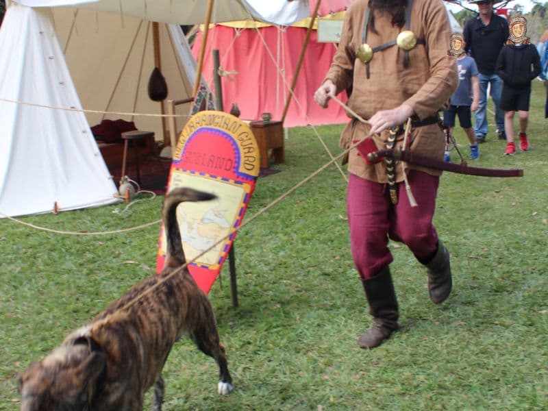 Rusland Encampment, Abbey Medieval Festival 2026.  Photography by Mel Lane