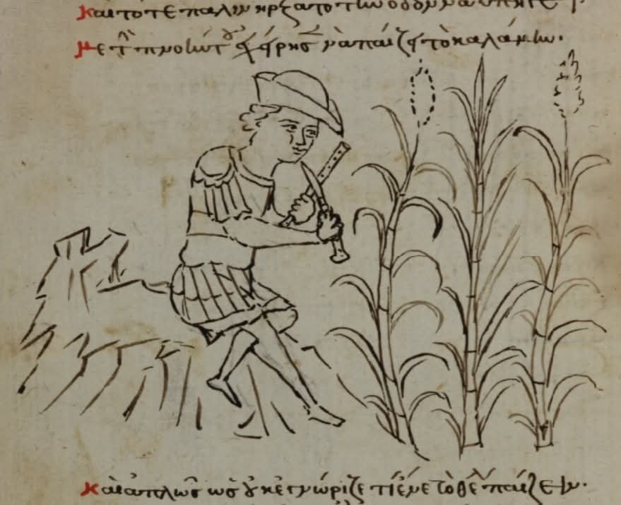 reed flute