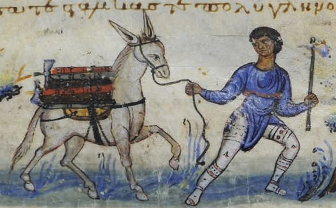 mule
